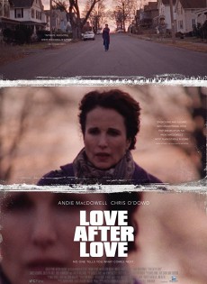 Love After Love (2017)