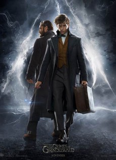 Fantastic Beasts 2: The Crimes of Grindelwald (2018)