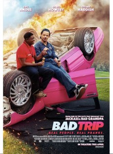 Bad Trip (2021)