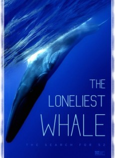 The Loneliest Whale: the Search for 52 (2021)