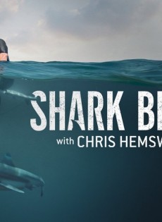 Shark Beach with Chris Hemsworth (2021)